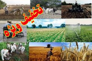 اقتصاد روستا